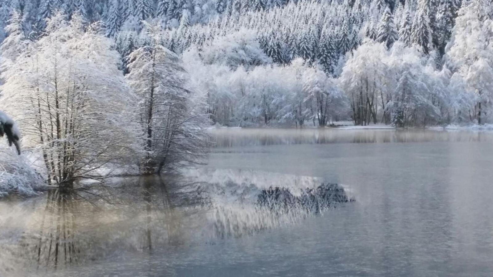La Salamandre Gérardmer Buitenkant foto