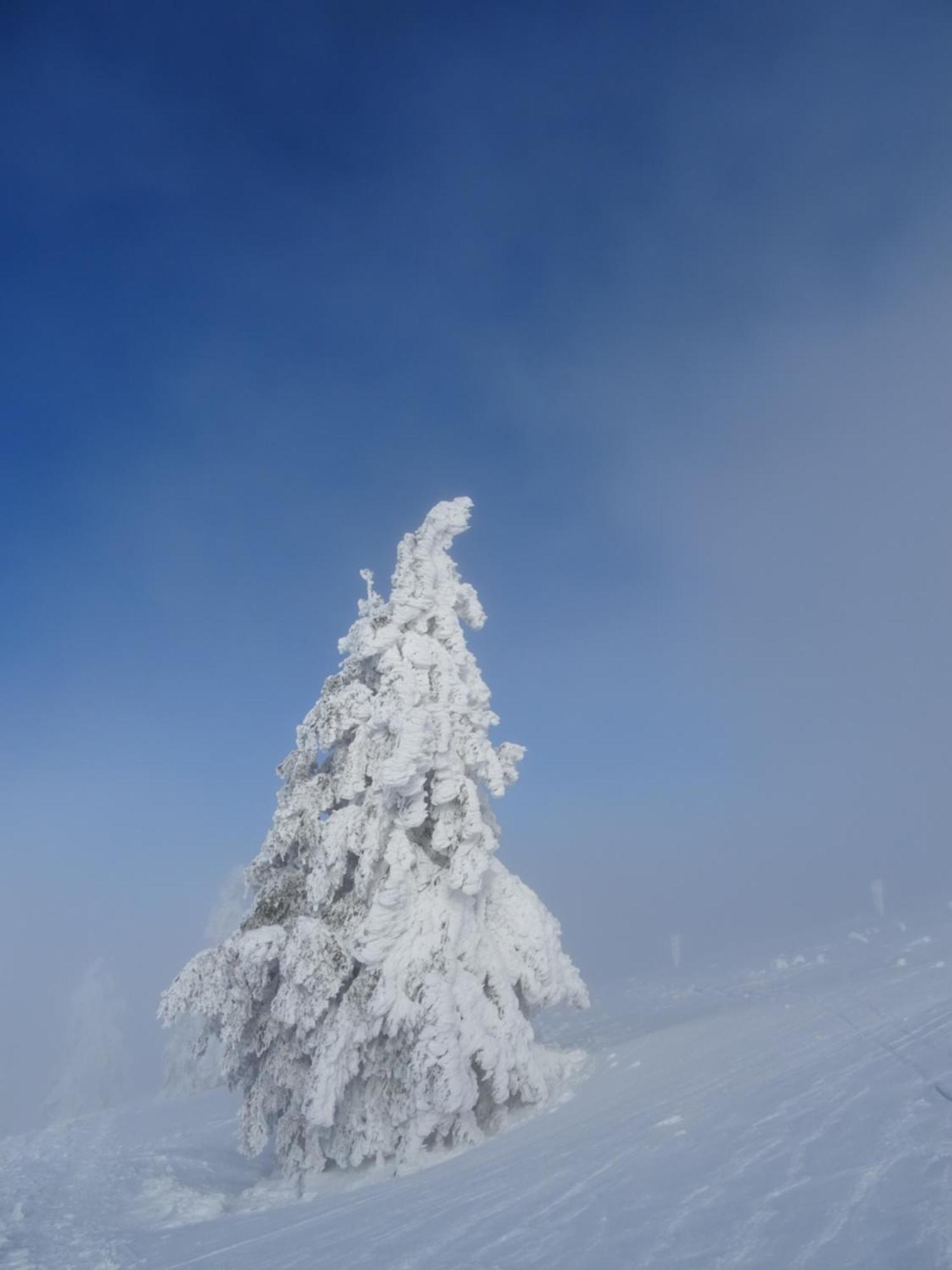 La Salamandre Gérardmer Buitenkant foto